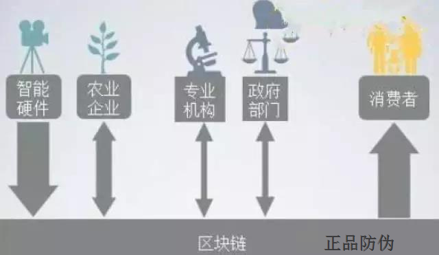 防偽追溯系統開發