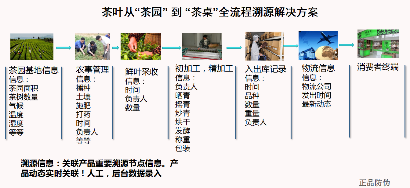 雨林古茶坊掃碼溯源系統解決方案